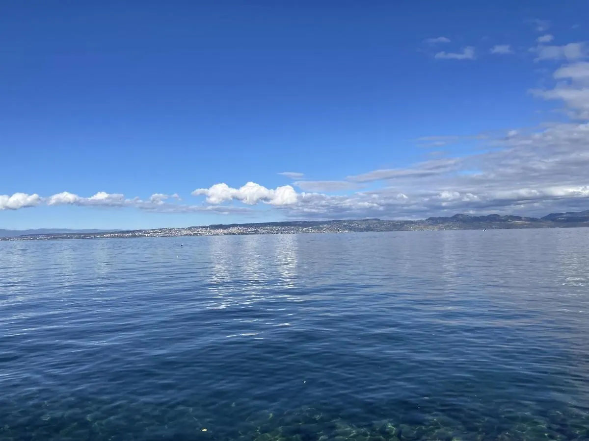 Apartment Studio Spacieux Au Coeur D'Evian-Les-Bains, Balcon, Proche Centre - Fr-1-498-58
